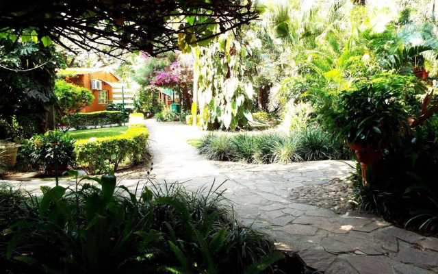 Palmwood Lodge