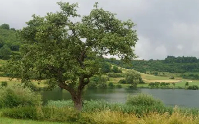 Ferienhäuser Sonnenhöhe