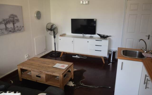 1 Bedroom Apartment In Cape Town City Centre