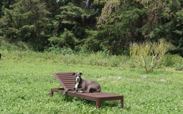 Locanda dei Cavalieri