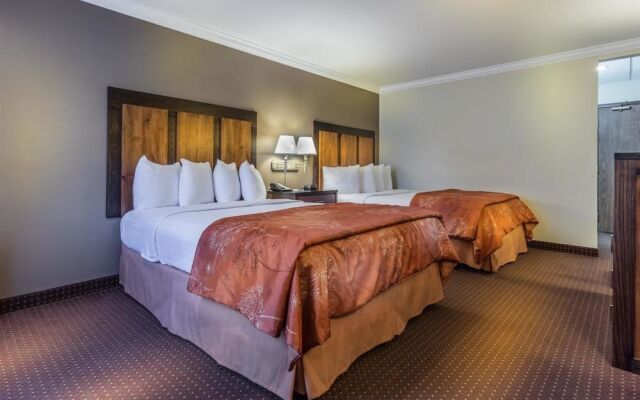 Best Western Wichita North Hotel & Suites