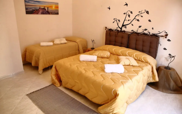 Dream on the Blue House