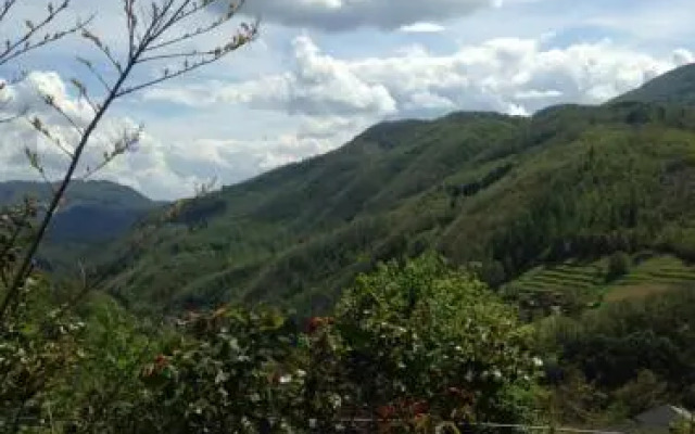 Hotel Villa Patrizia