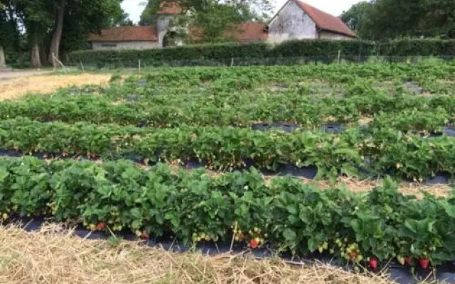 La Ferme du Bois Quesnoy