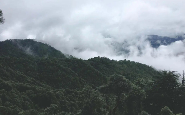 TreeHouse Chail Villas