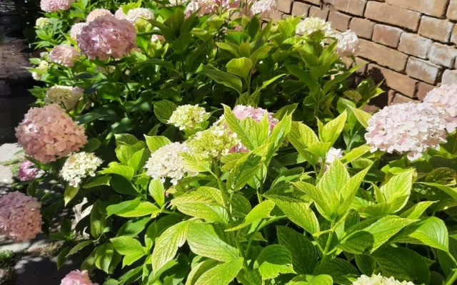 Il Giardino Nascosto