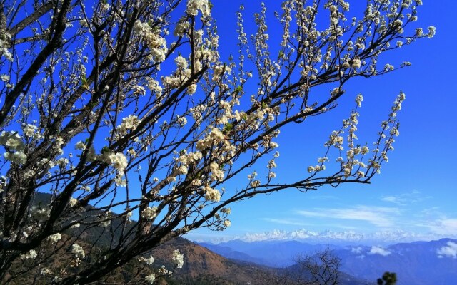 In Apple Estate Kanatal