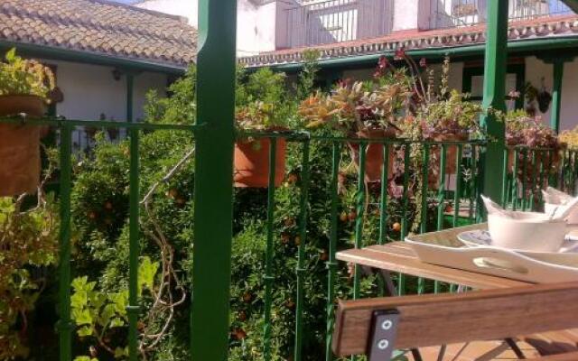 Tradicional Oasis Sevillano