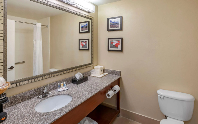 Comfort Inn & Suites Lincoln Talladega I-20