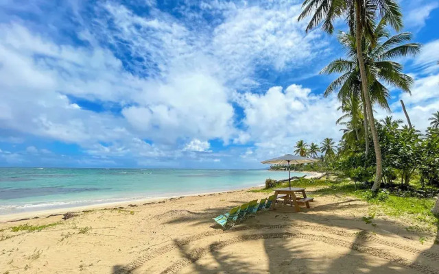 Beach Villa in El Portillo Sleeps 12