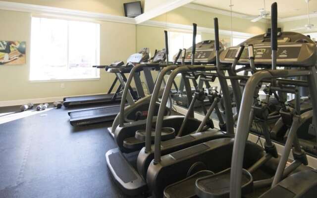 Bella Vida by Fidelity VH ID: 51435