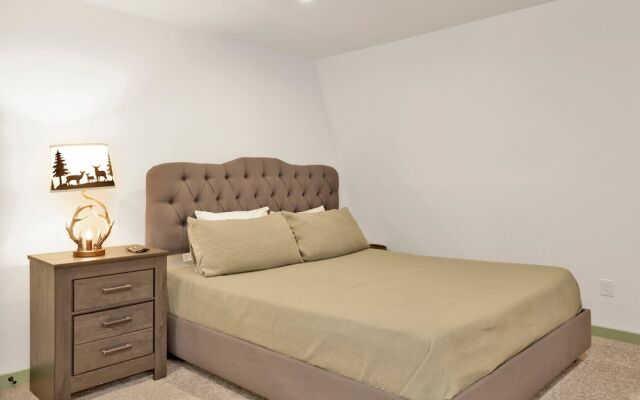 Midnight Pines #2424