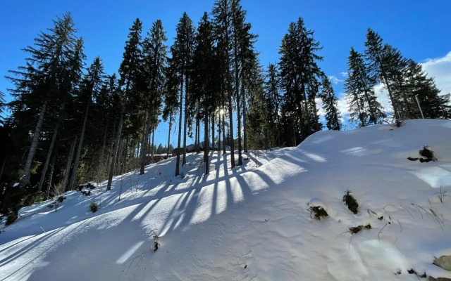 Studio Pamporovo Palace