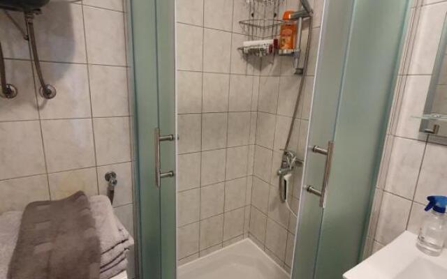 Apartment Irena