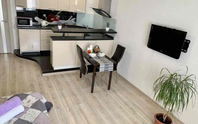 Апартаменты на улице 50 лет ВЛКСМ 13