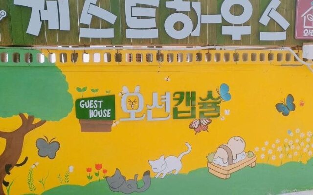 Gangneung Guest House Ocean Capsule