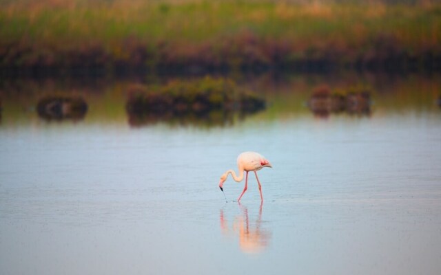 Beautiful Flat Overlooking Rosolina Mare Shore