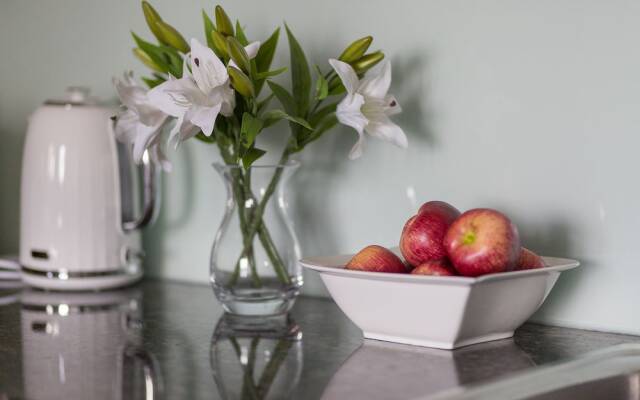 Modern apartment with great views