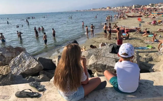 Campsite Chalet Zr28 Tuscany Near sea Viareggio