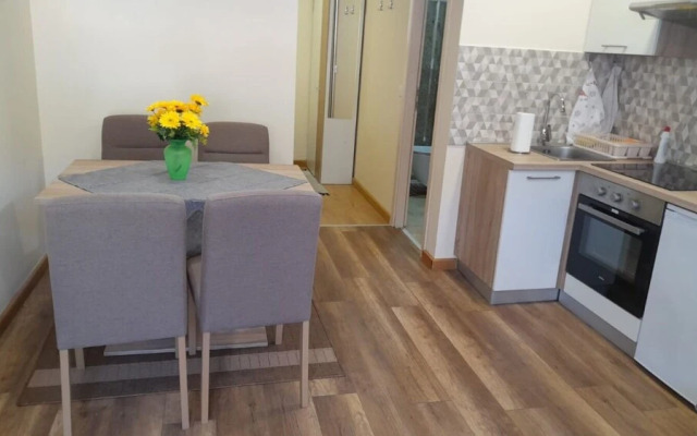 T & P- 200m From Centar City - SA1