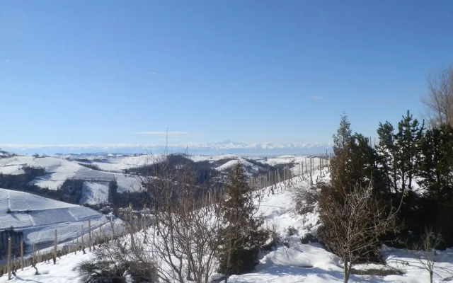 The Grape Pergola House