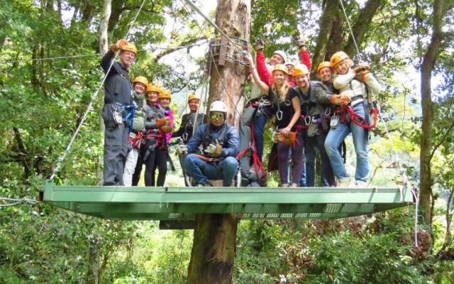 Tree Trek Boquete Adventure Park