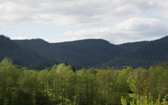 Chalet Taintrux, 4 pièces, 6 personnes - FR-1-589-222