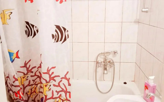 2 к аппартаметы в центре города,район Мечникова,парк Шевченко