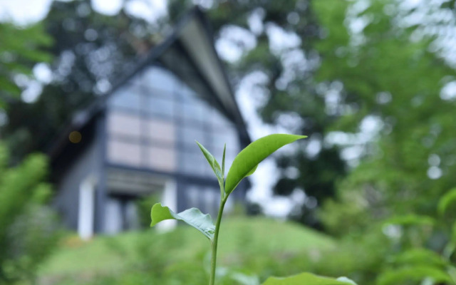 The Country House Chalets