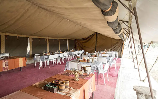 Serengeti Wild Camp