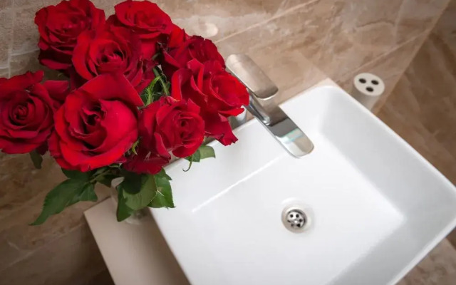 Agava Lux Rooms & Pool