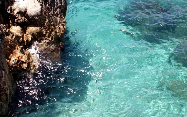 Apartments by the sea Dubrovnik - 18908