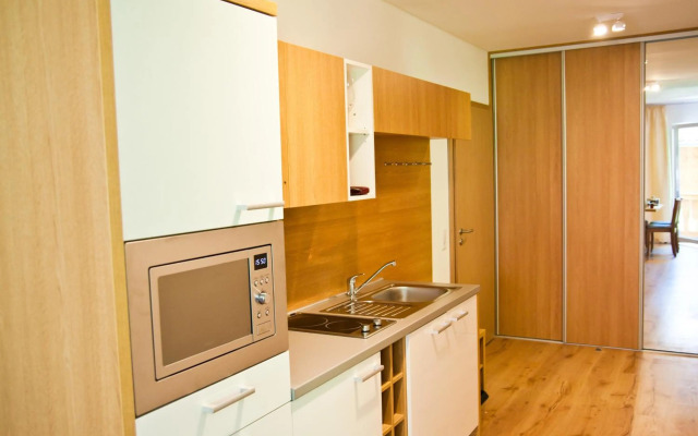 Apartment Michael - Zell am See - Kaprun