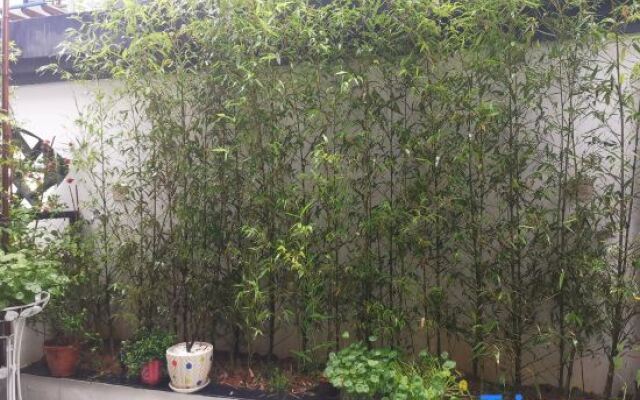 Yongzhou Xiaoxiang Xuyuan Homestay