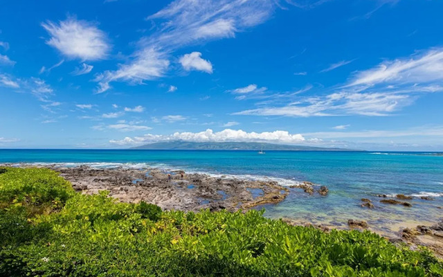 Napili Shores G258 Studio Condo Condo
