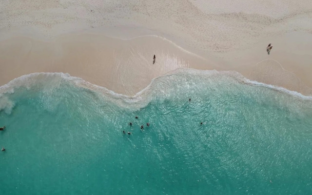 Eagle Stays Aruba