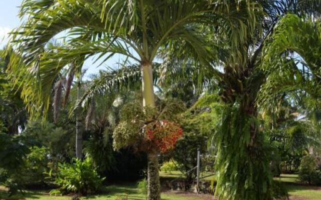 Domaine des Oiseaux Réunion