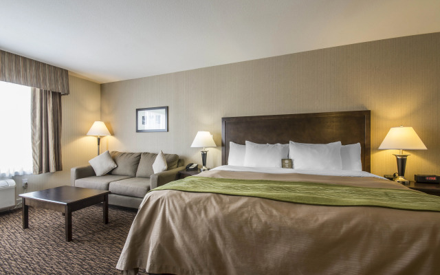 Comfort Inn Surrey Hotel