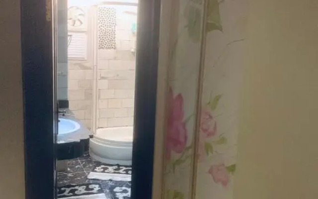 مصر الجديده