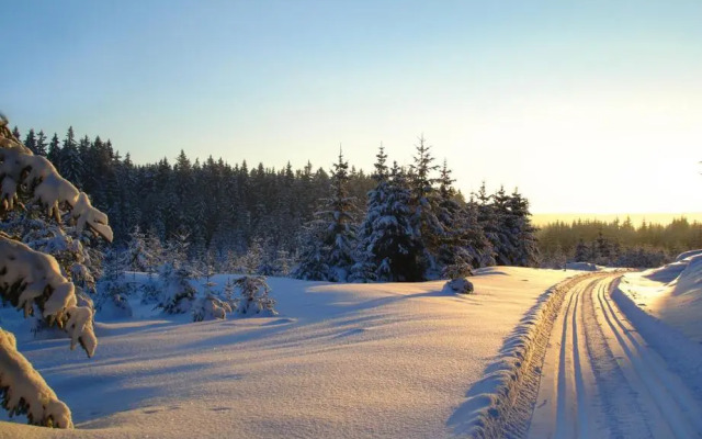 Ferienhotel Mühlleithen