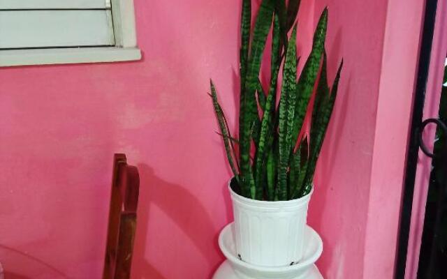 Barbican bed and breakfast at dillsbury