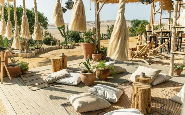 Ocean Vagabond Dakhla