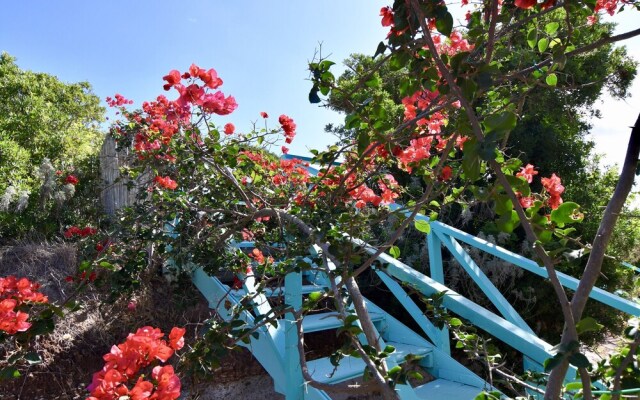 Charming Mediterranean House Surrounded by a Natural Oasis