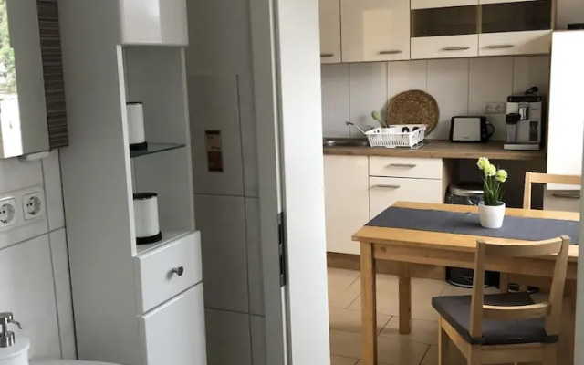 Completely Renovated 1-room Apartment in the City Center