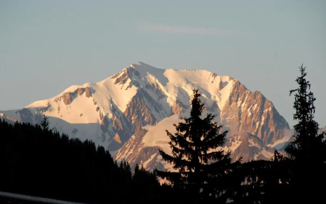 Hôtel Chalet Le Caribou