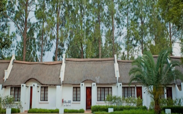 Kievits Kroon Gauteng Wine Estate