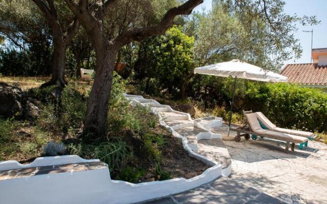 Lilly - Lovely small Villa among Olive Trees