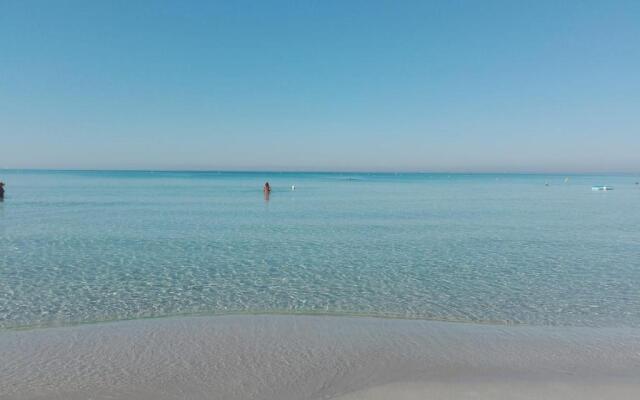 Appartamento orchidea