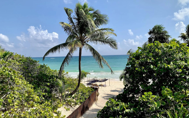 Libelula Tulum Beachfront Hotel