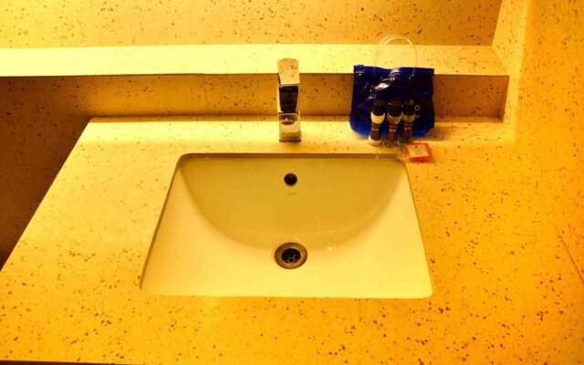Hotel Balwas International